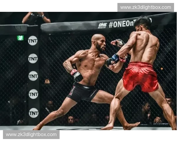 全球综合格斗巅峰对决直播解析拳台策略与赛事实况明星选手全程呈现